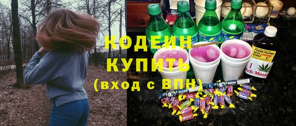 не бодяженный Заводоуковск