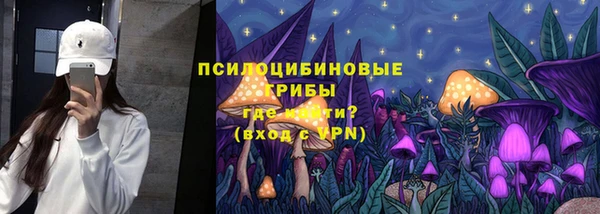 не бодяженный Заводоуковск